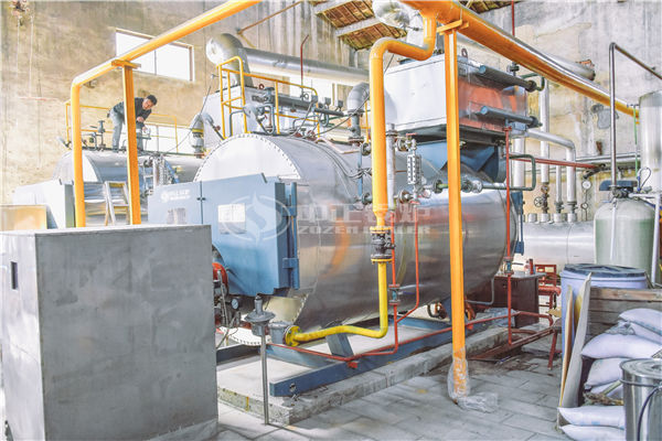 遠(yuǎn)大鍋爐25噸