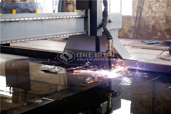 燃?xì)忮仩t廠家