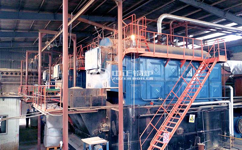 迪森鍋爐實(shí)拍