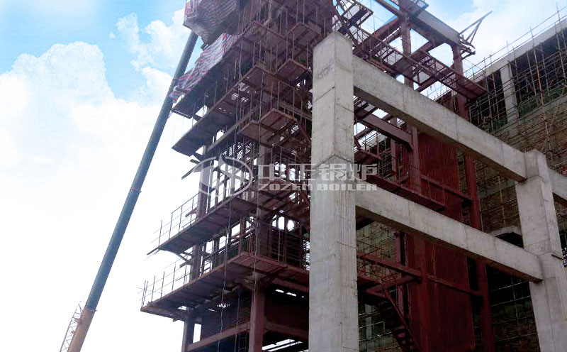 生物質(zhì)30噸蒸汽鍋爐生產(chǎn)廠家實拍