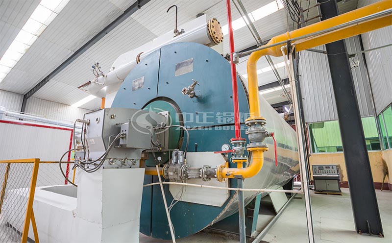 生物質(zhì)鍋爐型號客戶案例圖片