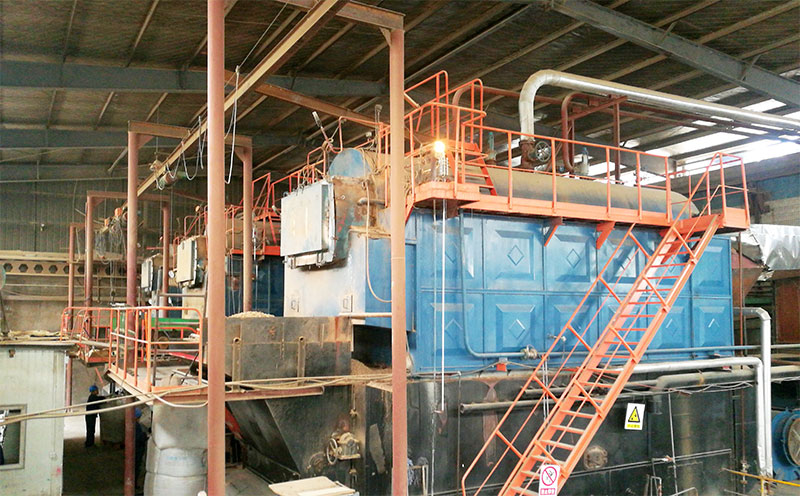 生物質(zhì)30噸蒸汽鍋爐生產(chǎn)廠家客戶案例圖片