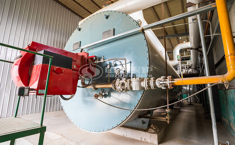 10噸燃?xì)忮仩t熱水客戶案例圖片