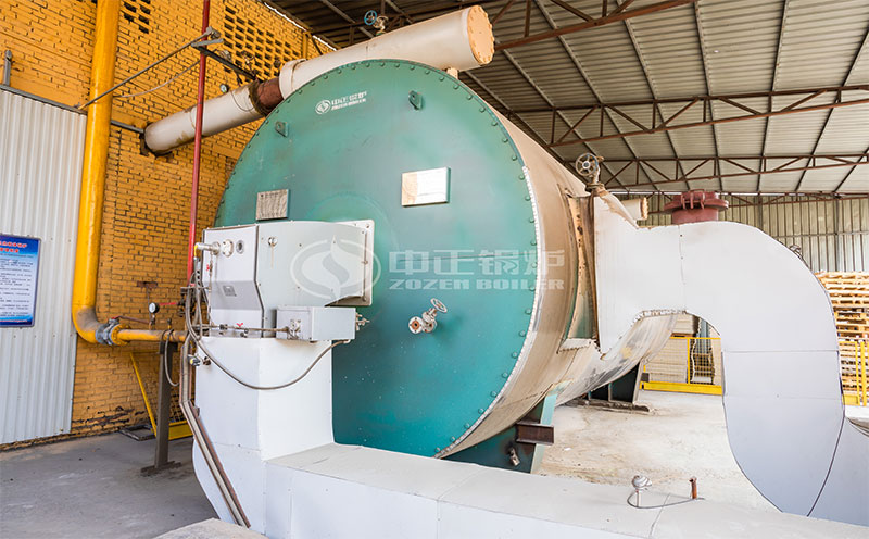 低氮燃?xì)忮仩t價(jià)格客戶案例圖片