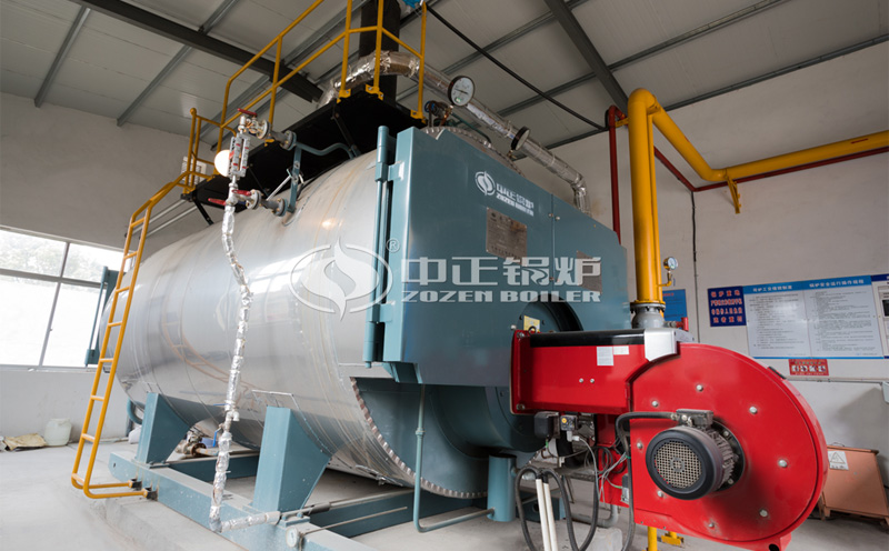 生物質(zhì)鍋爐甘肅客戶案例圖片