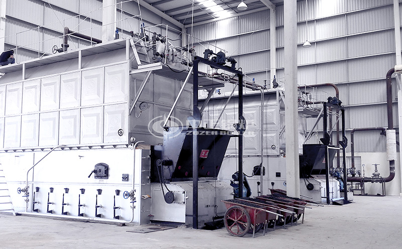 黑龍江省工業(yè)100噸鍋爐客戶案例圖片