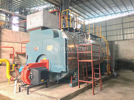 10噸商用燃?xì)庹羝仩t圖片