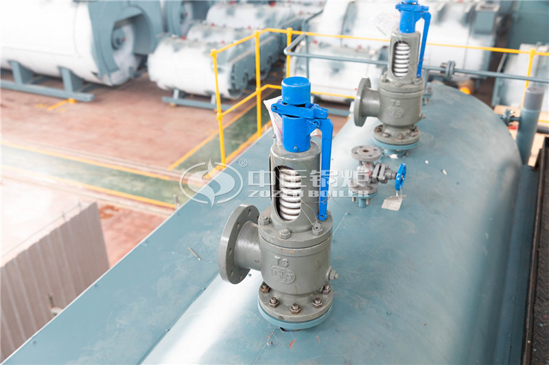 DZL燃?xì)庹羝仩t得多少錢