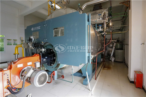 二十噸燃?xì)庹羝仩t廠