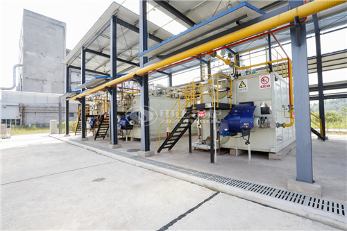 十五噸燃?xì)庹羝仩t廠家