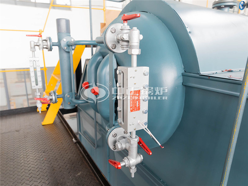 8噸燃?xì)庹羝仩t廠家