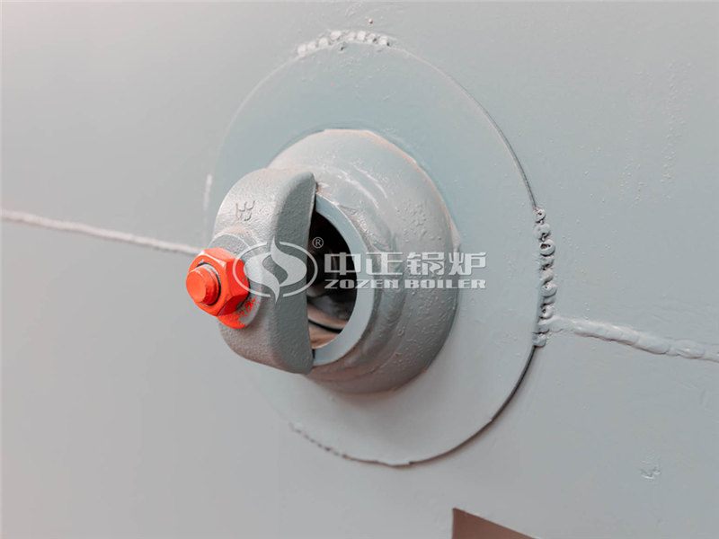 二十噸燃?xì)庹羝仩t生產(chǎn)廠家