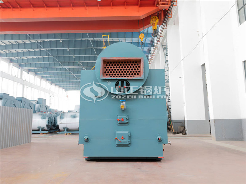 20噸燃?xì)庹羝仩t品牌