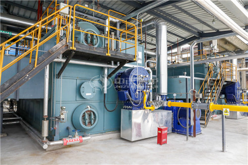 一臺(tái)30T燃?xì)庹羝仩t貴嗎